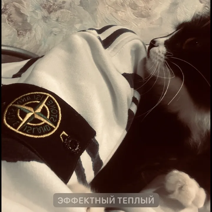mivikiii