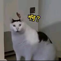 kesuke_06