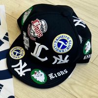seibulions_sphinx