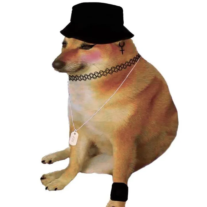 alicemecocci
