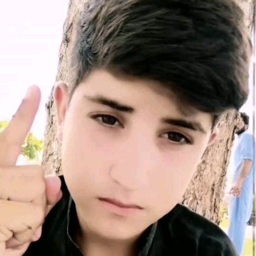 usrtalha