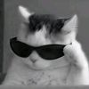 madvz5