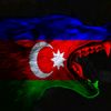elshan440