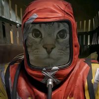 gentlearmansalt2