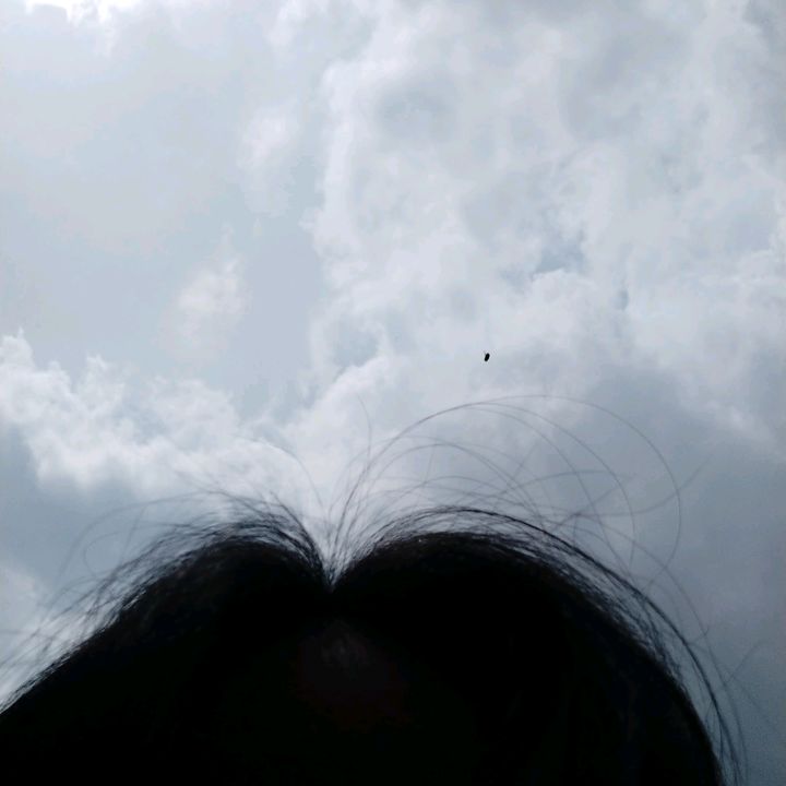 buahtangannomi