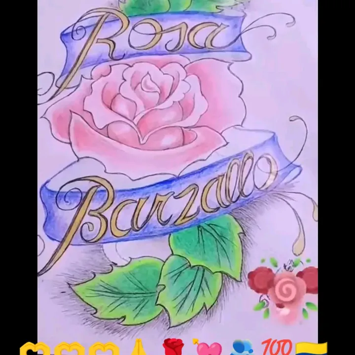 barsallorosa304gmail.com