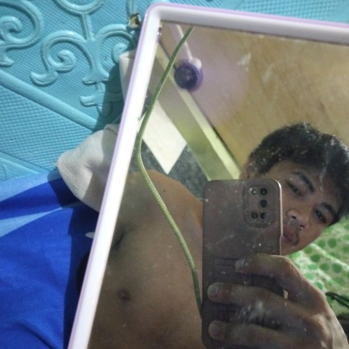 albertvivar385