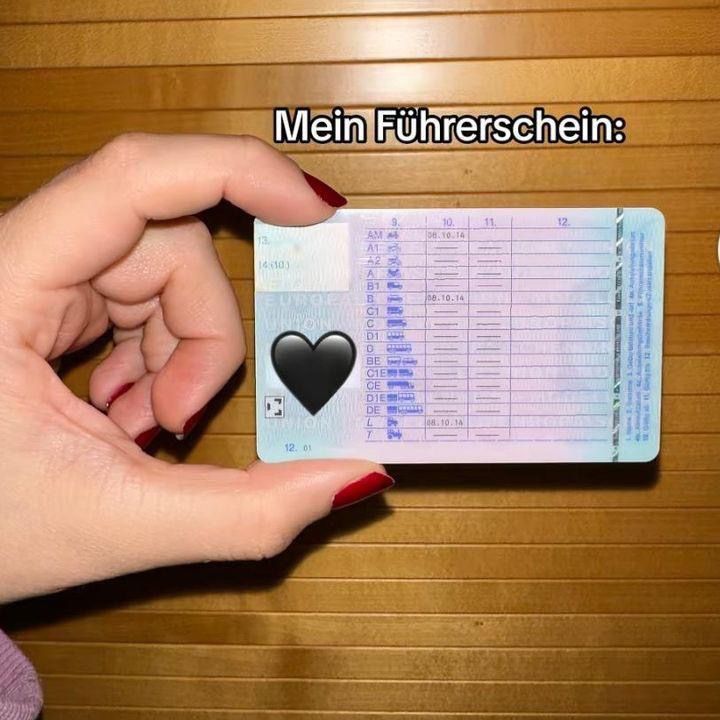 fhrerschein864