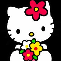 zbogomkitty