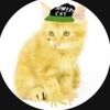 alexmc_22dc