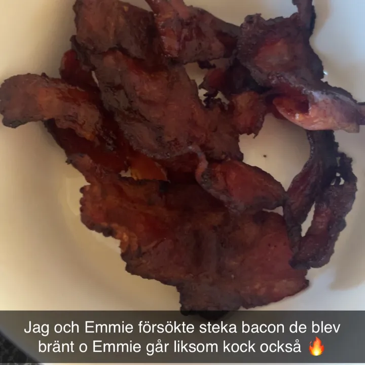 esteremilsson.com.se.www