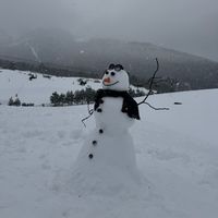 itsperiwinkl