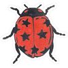 ladybugsays