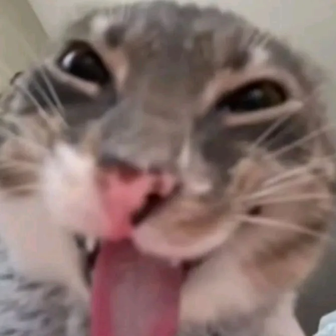 kartavyy_xuy