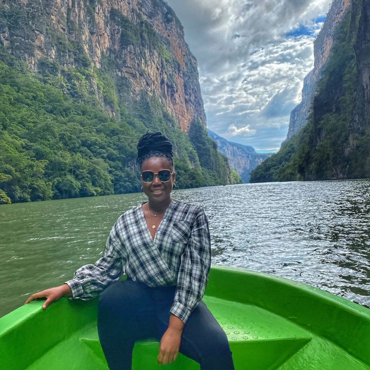 theetravelingteacher
