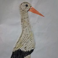 naoquestioneosplanos