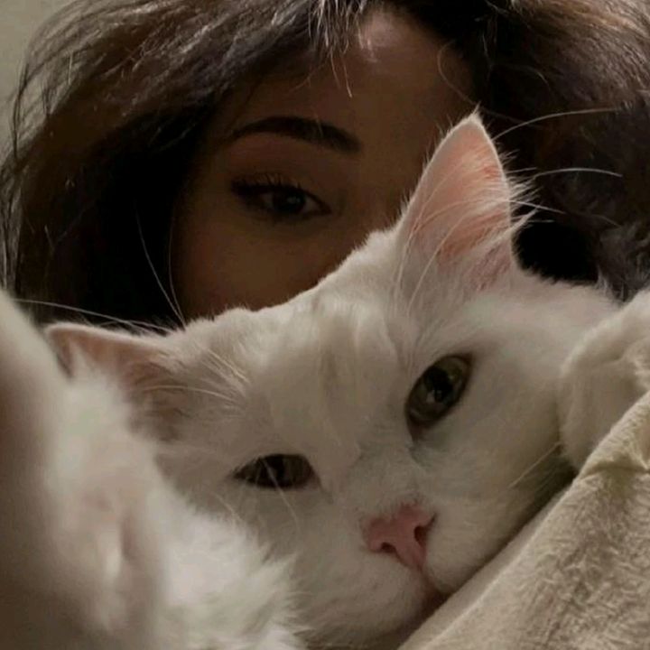 _kar_melita13
