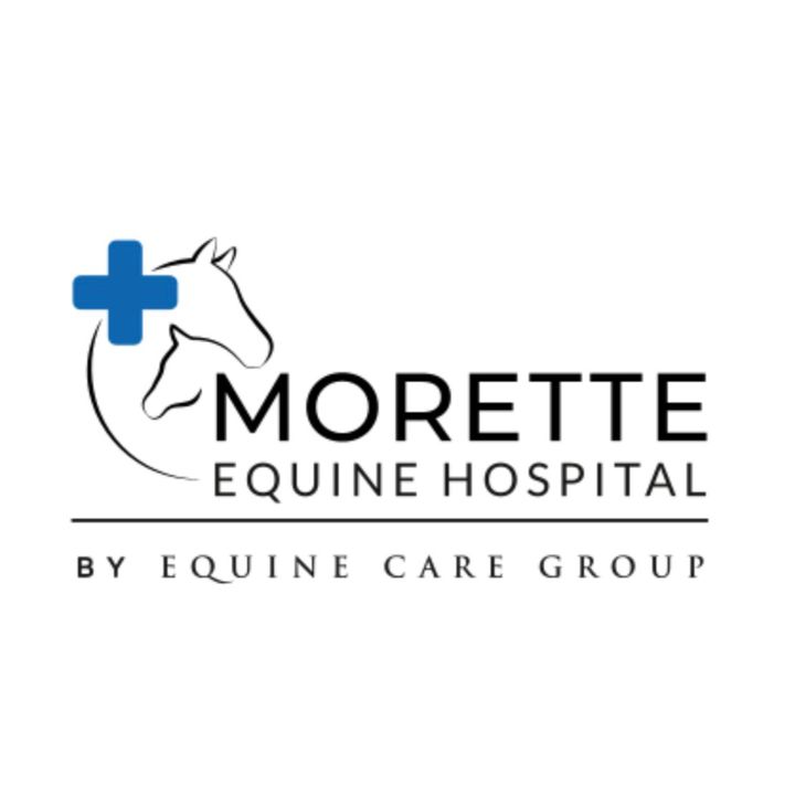 dierenkliniek_de_morette