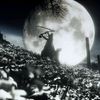 lunaris_588