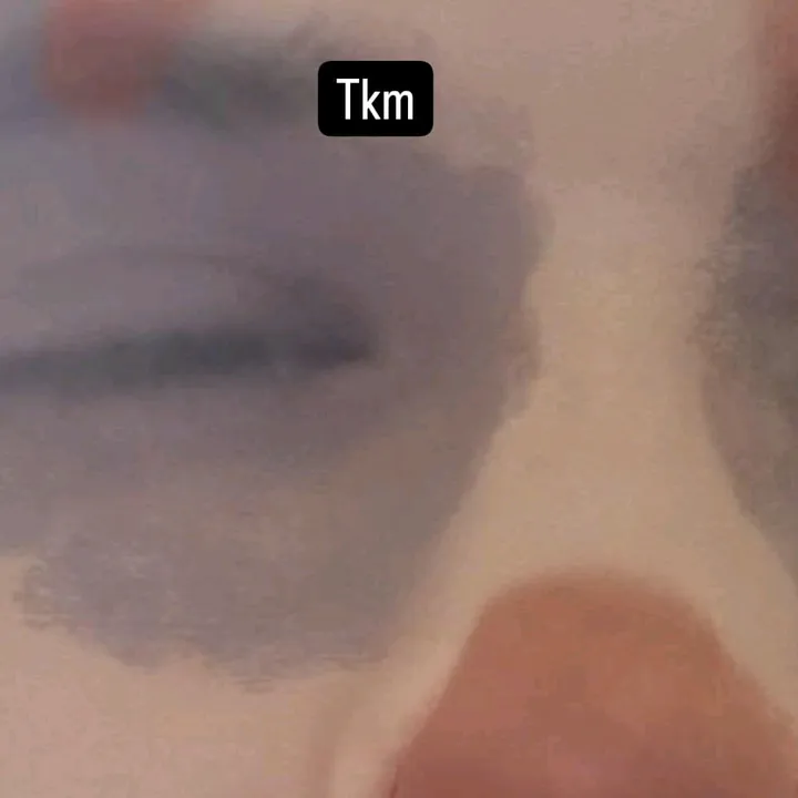livemper