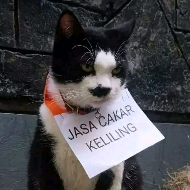 historikal_id