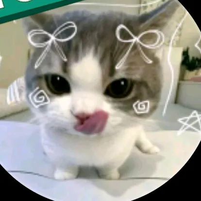 gatinha.fofa59
