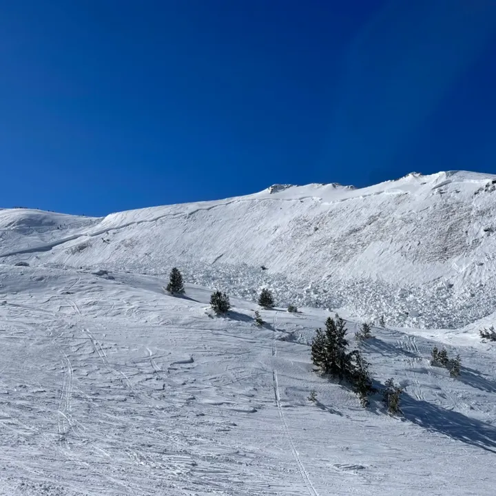 brezovicatoday