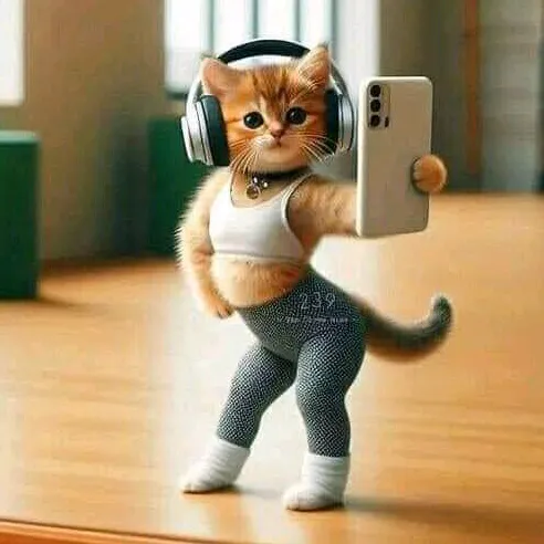heart_cat