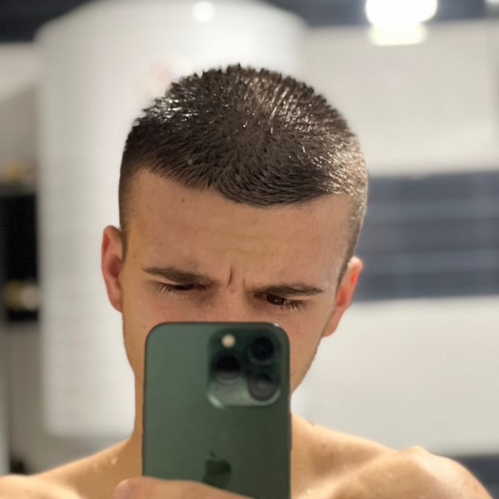 alminselimovic05
