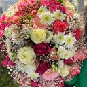 @blume2000.starbesetzung
