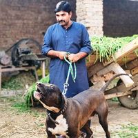 tahir.gujjar64