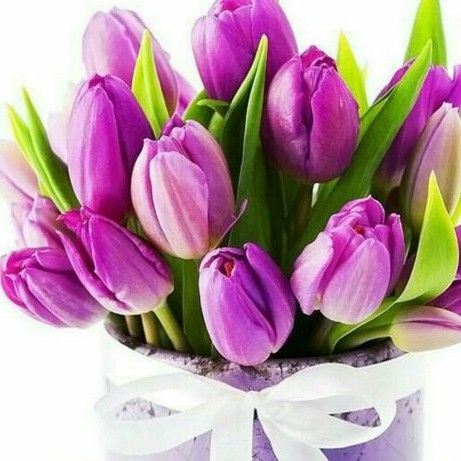 sonalparmar930