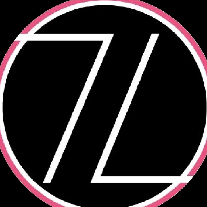 zoomhitskins