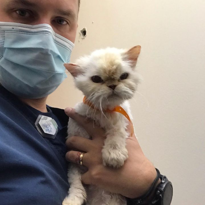 @catsbruh
