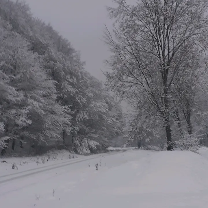 tundekovacs4