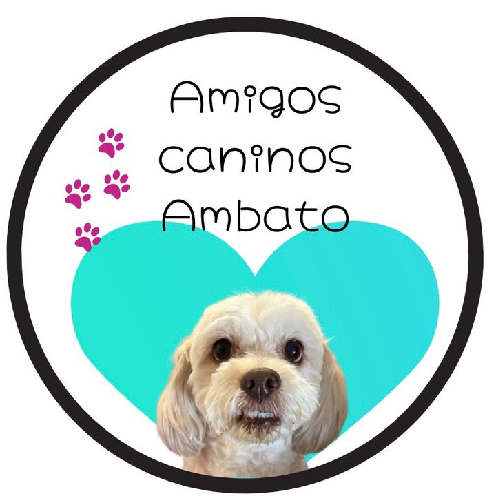 amigoscaninos_ambato