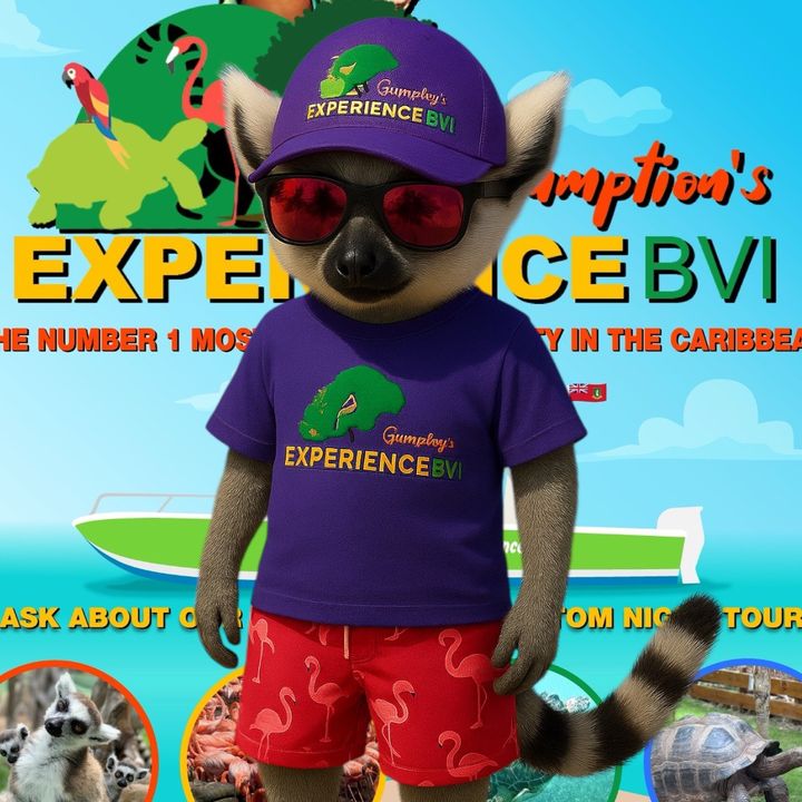 gumptionexperincebvi
