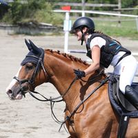 die.coolen.pferdisss14