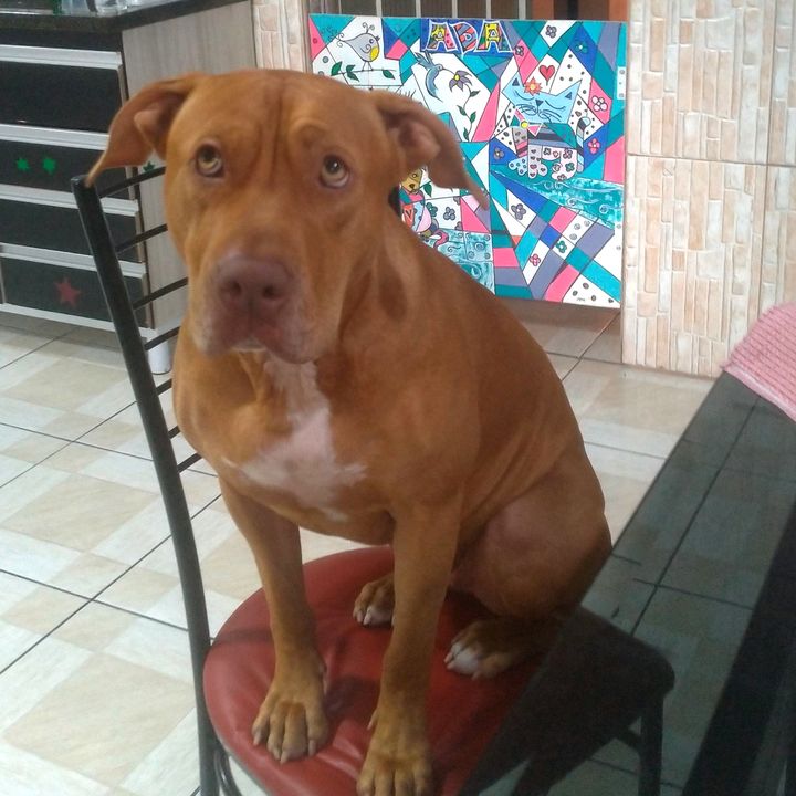 kirapitlove