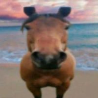 cliffordthecowboy