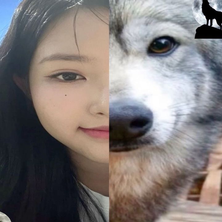 loona.vertical
