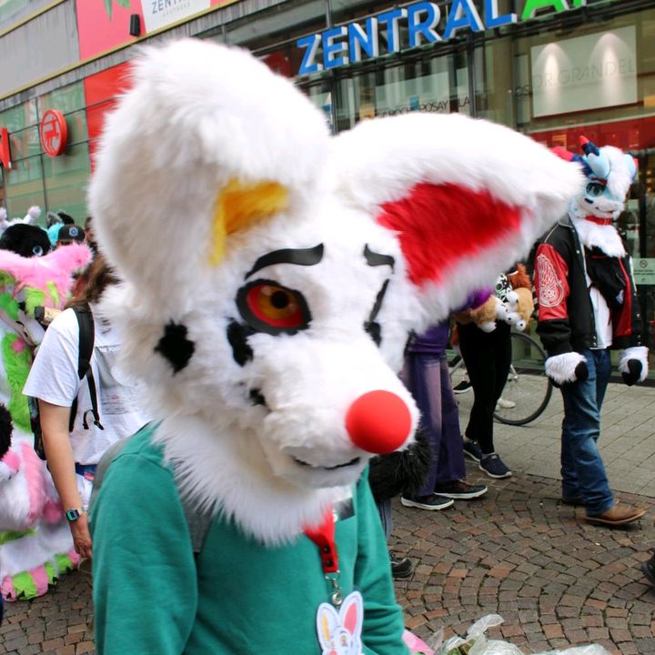 pfalzwolf
