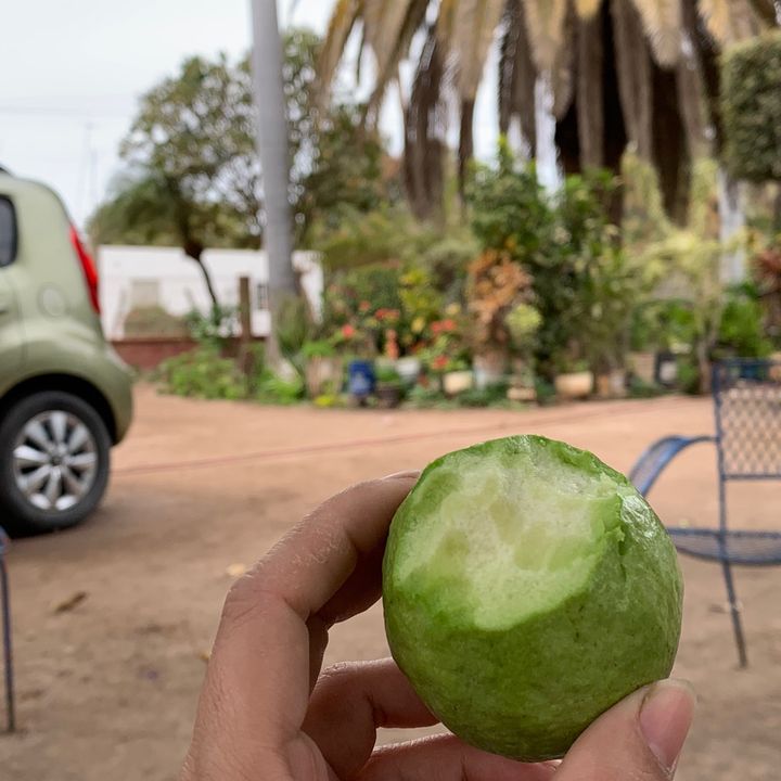 mi.rancho.querido