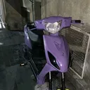 @alessio.fortunato14
