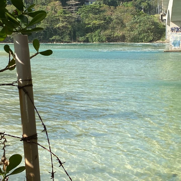 praiadosamores_real