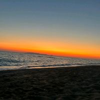 zoeanna253