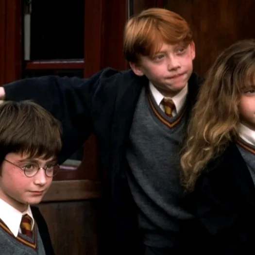 harrypotterfan_8507