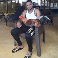 wilmer_sport_911