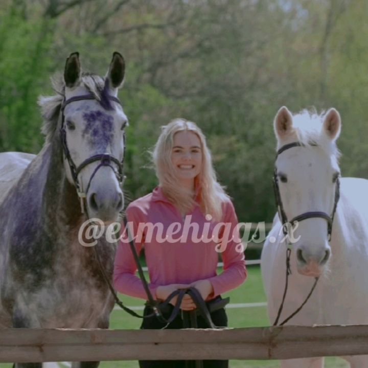 esmehiggs.x
