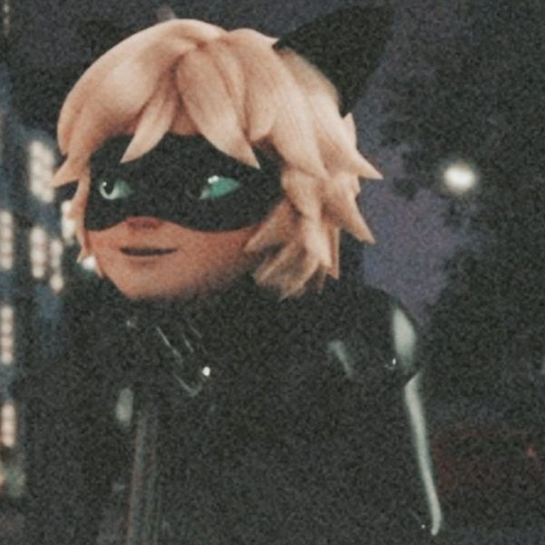 chatnoir250
